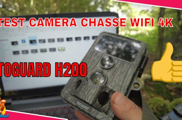 caméra chasse Toguard H200