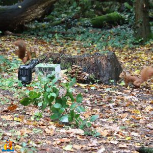 caméra chasse hapimp