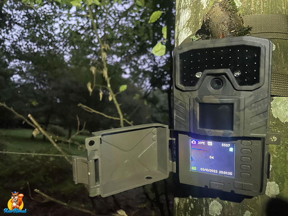 Caméra de chasse CEYOMUR CEYOMUR CY50 Caméra de Chasse 20MP 1080P