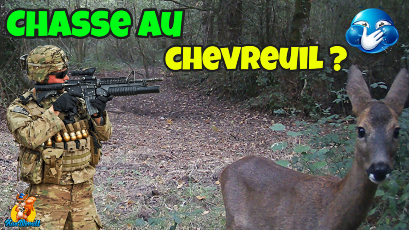 chasse aux chevreuil 2022