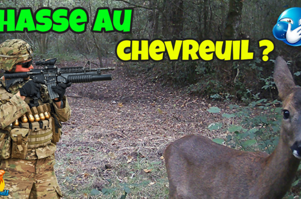 chasse aux chevreuil 2022