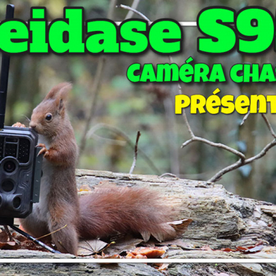 meidase S950