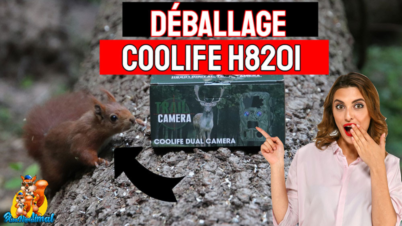 déballage COOLIFE H8201