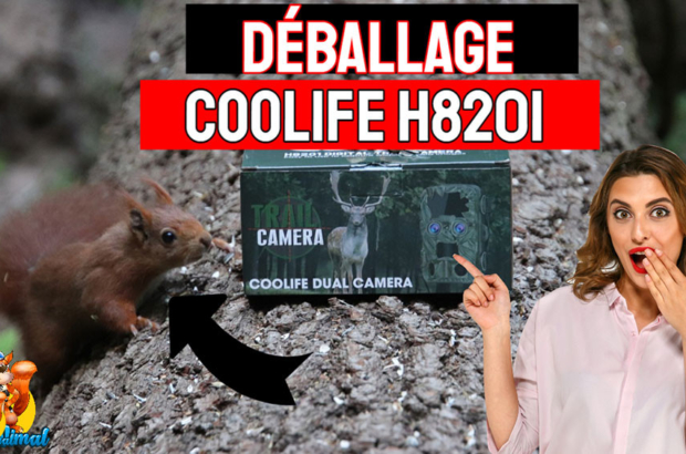 déballage COOLIFE H8201