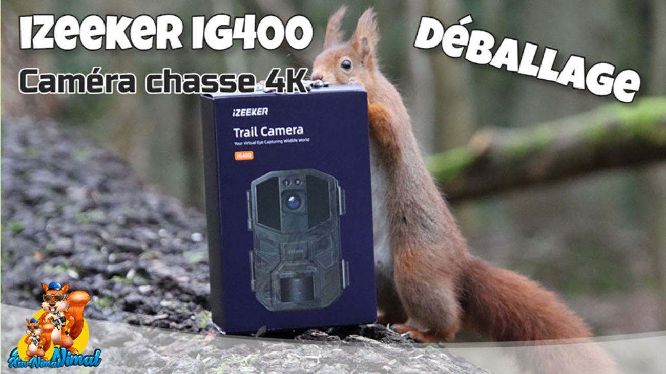 Chargeur de piles - Test caméra chasse et animaux sauvages