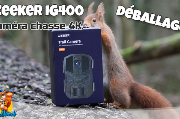 caméra chasse iZeeker IG400
