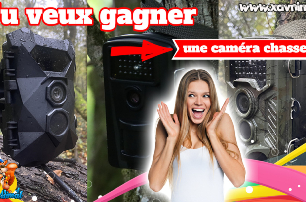 concours caméra chasse