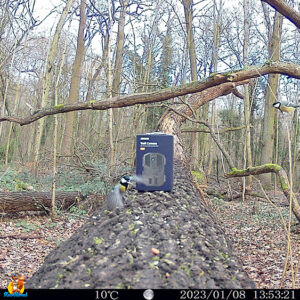 trail cam izeeker IG400