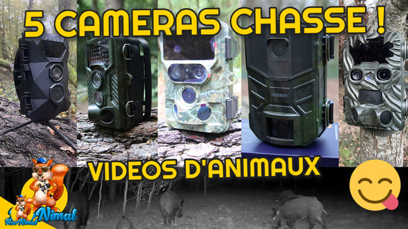 Quelle caméra chasse rends le mieux ? - Test caméra chasse et