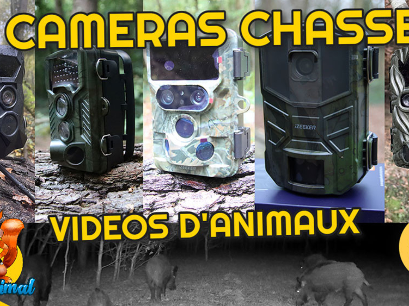 caméra chasse