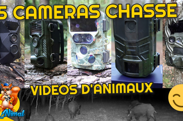 caméra chasse