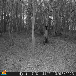 caméra de chasse coolife H8201
