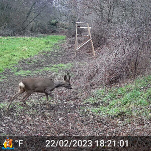 GardePro E5S