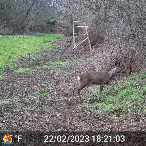 GardePro E5S
