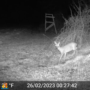 GardePro E5S