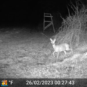 GardePro E5S