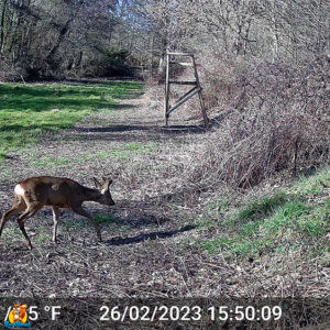 GardePro E5S