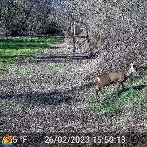 GardePro E5S