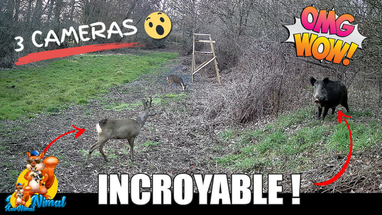 vidéo caméra chasse