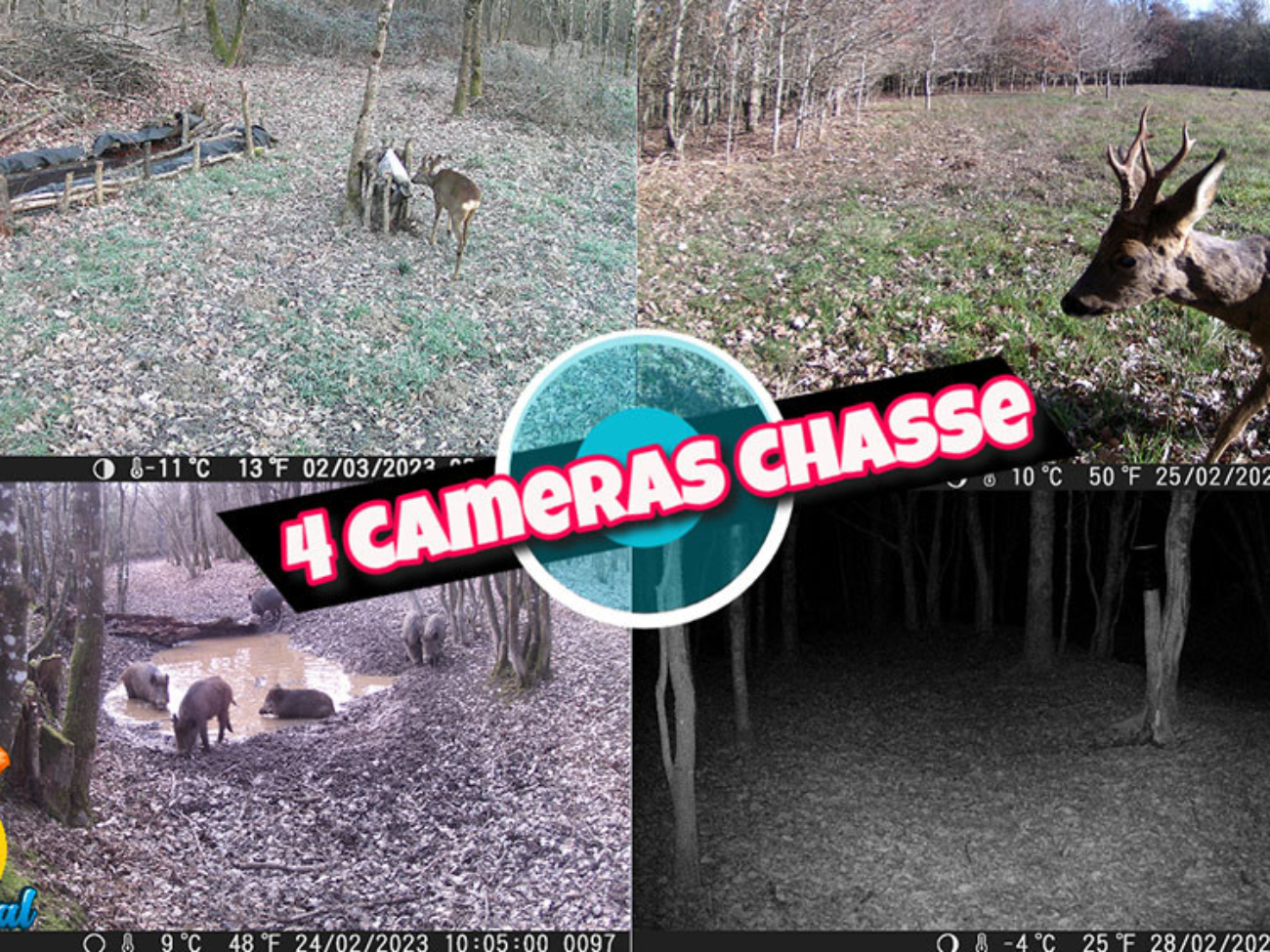 vidéo caméra chasse