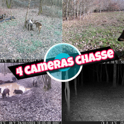 vidéo caméra chasse