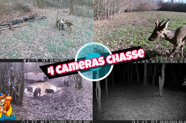 vidéo caméra chasse