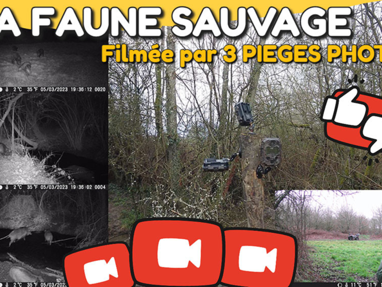 faune sauvage française