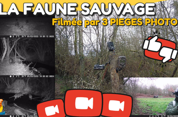 faune sauvage française