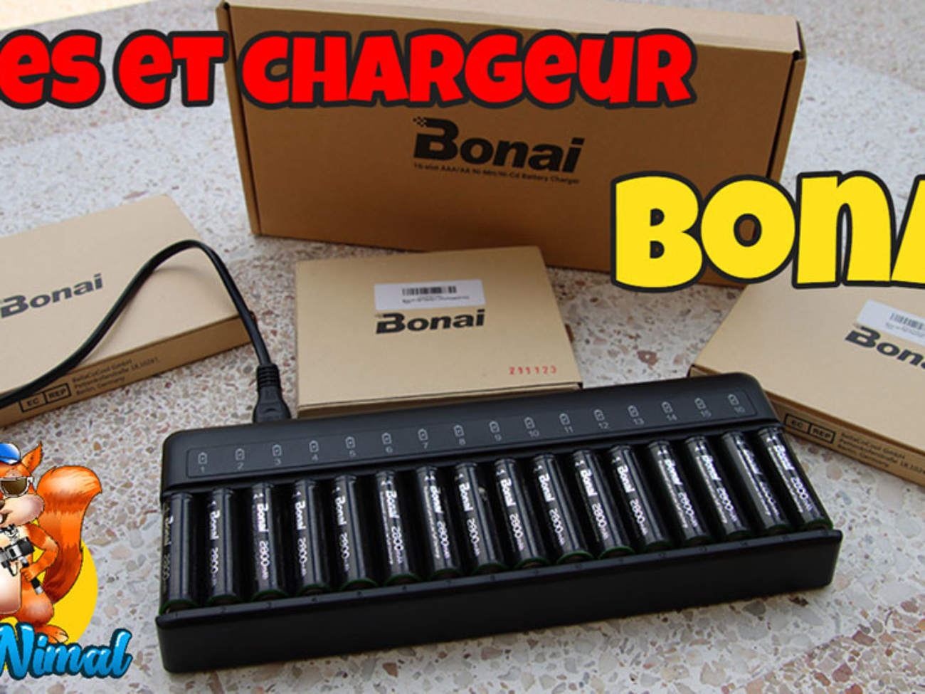 chargeur piles Bonai