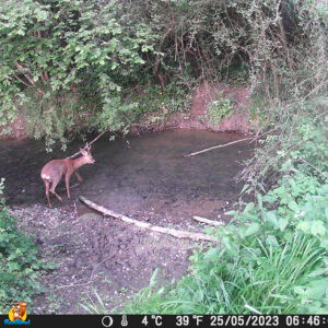 caméra chasse HAPIMP