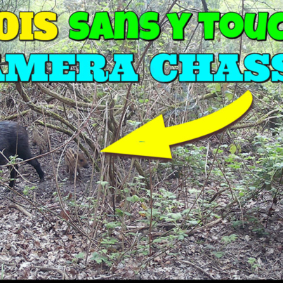 6 mois sans toucher à la caméra chasse CAMPARK T180