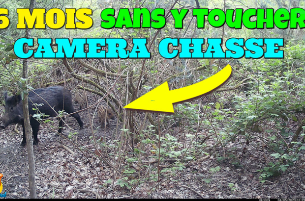 6 mois sans toucher à la caméra chasse CAMPARK T180