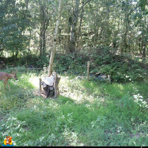 campark tc22