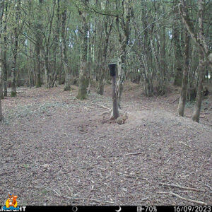 campark TC22