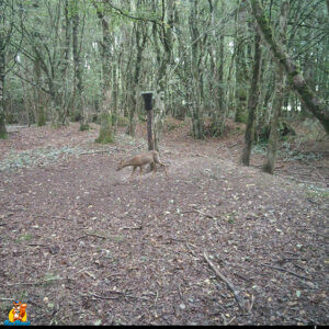 photos-3-campark-tc22-09