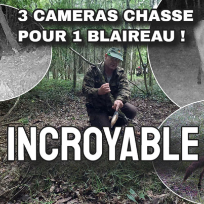 comment filmer des blaireaux