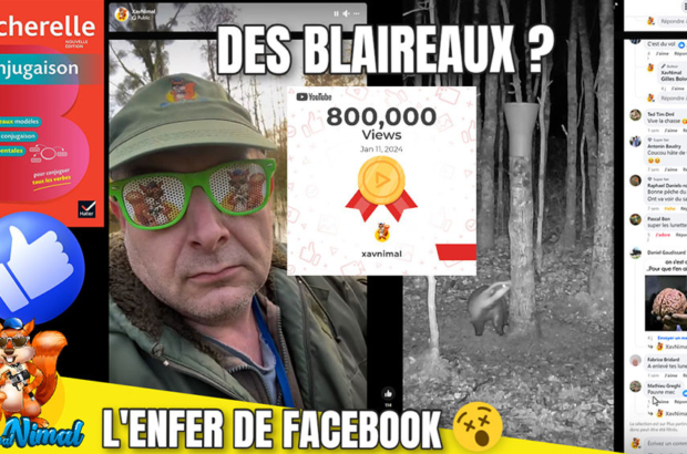 commentaire facebook