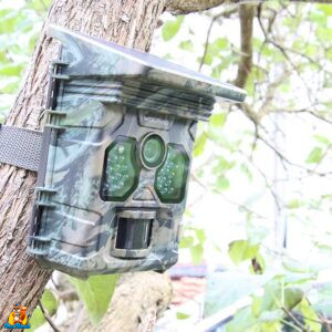 WOLFANG WT02