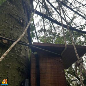 installation nichoir chouette hulotte